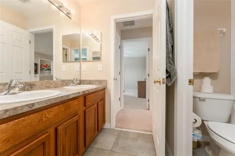 6302 Bridgevista Drive Lithia FL 33547