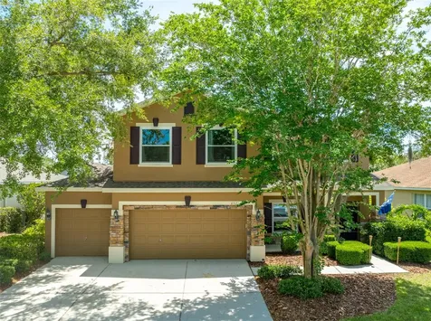 6302 Bridgevista Drive Lithia FL 33547