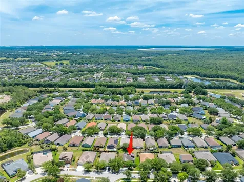 6302 Bridgevista Drive Lithia FL 33547