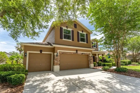 6302 Bridgevista Drive Lithia FL 33547