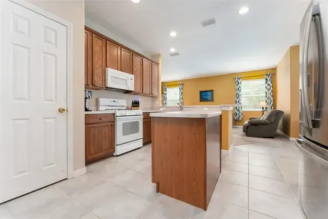 6302 Bridgevista Drive Lithia FL 33547