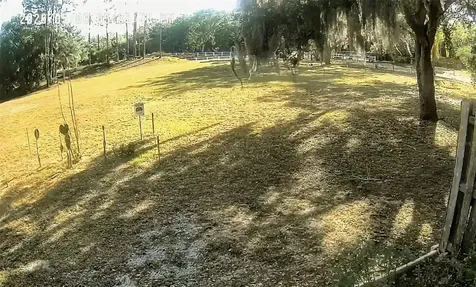 901 W River Drive Temple Terrace FL 33617