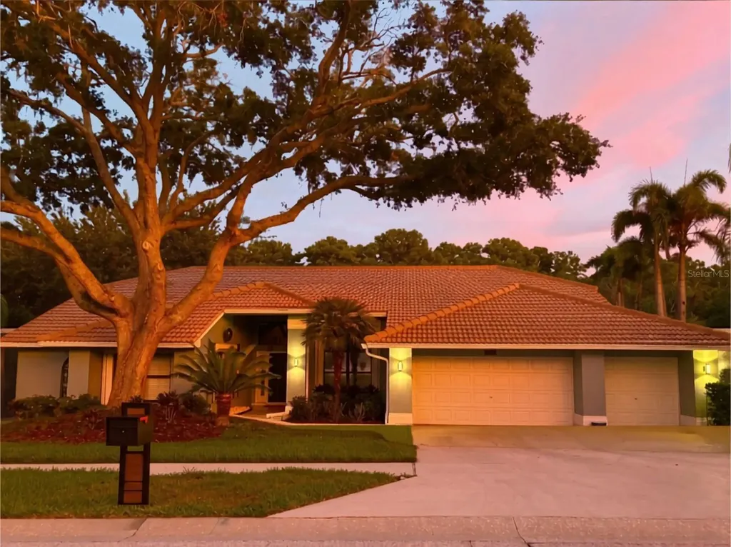 3930 Tarian Court Palm Harbor FL 34684