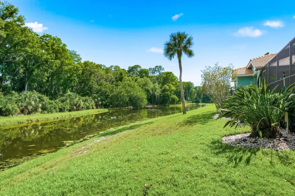 3930 Tarian Court Palm Harbor FL 34684
