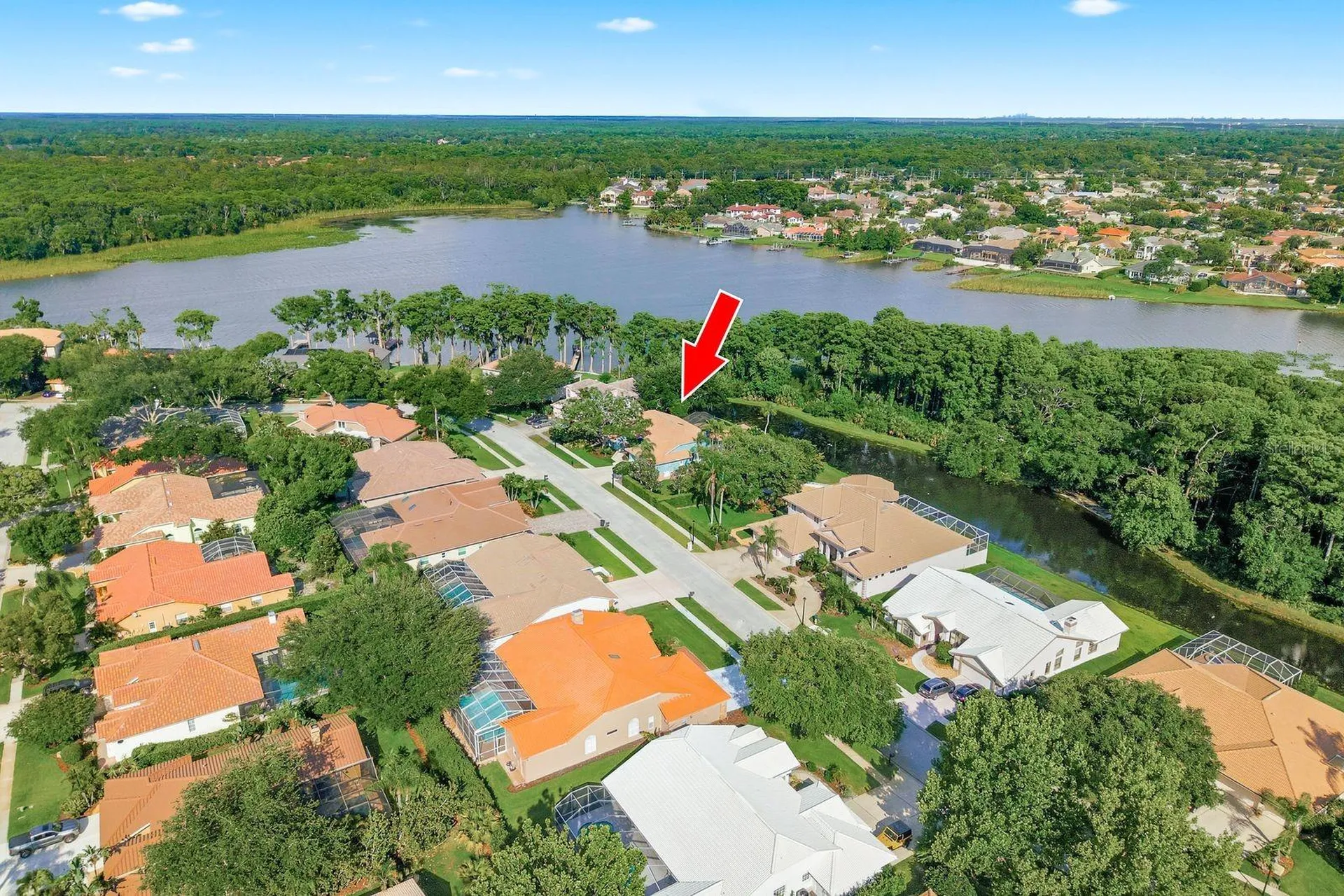 3930 Tarian Court Palm Harbor FL 34684