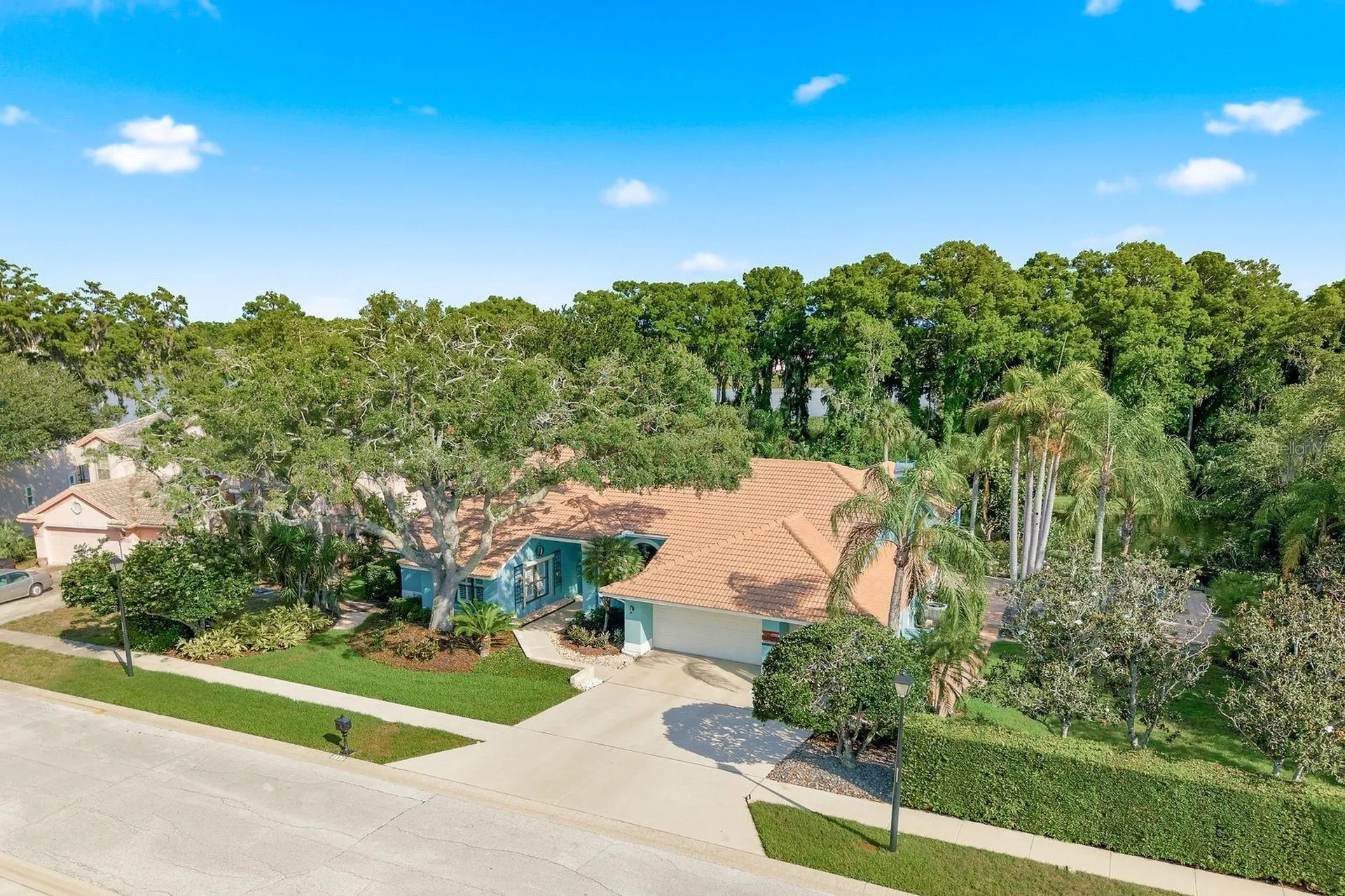 3930 Tarian Court Palm Harbor FL 34684