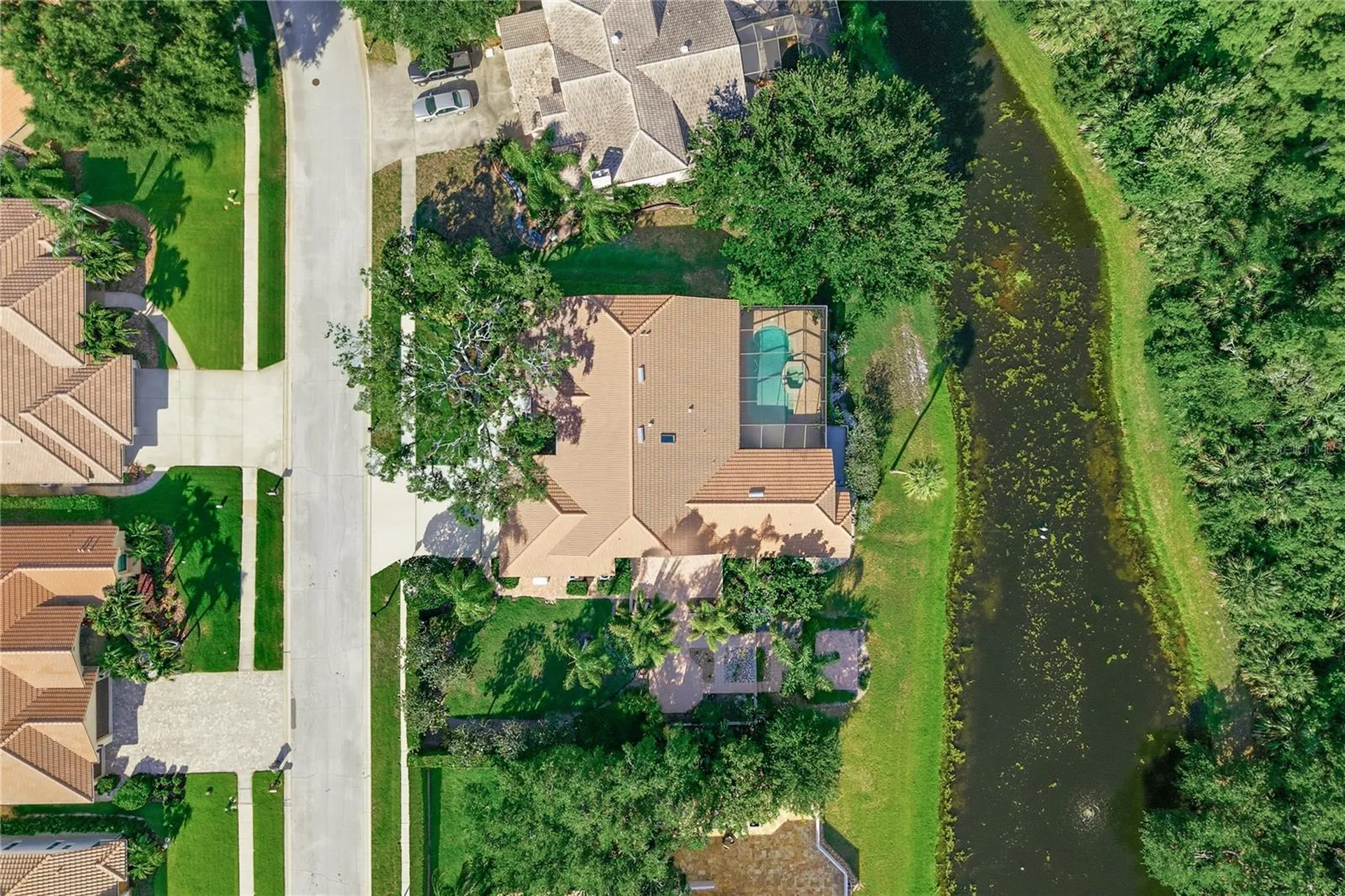 3930 Tarian Court Palm Harbor FL 34684
