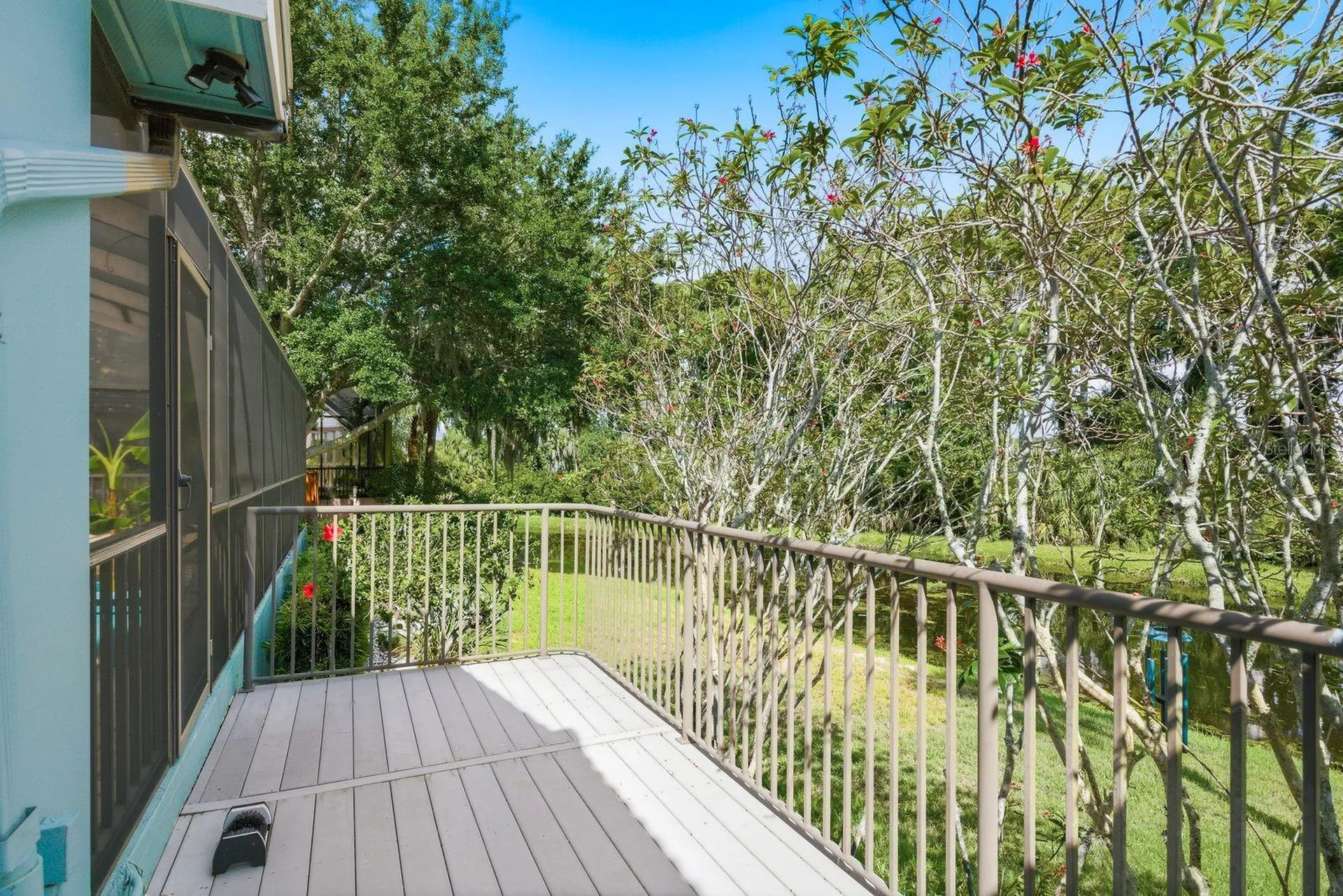 3930 Tarian Court Palm Harbor FL 34684
