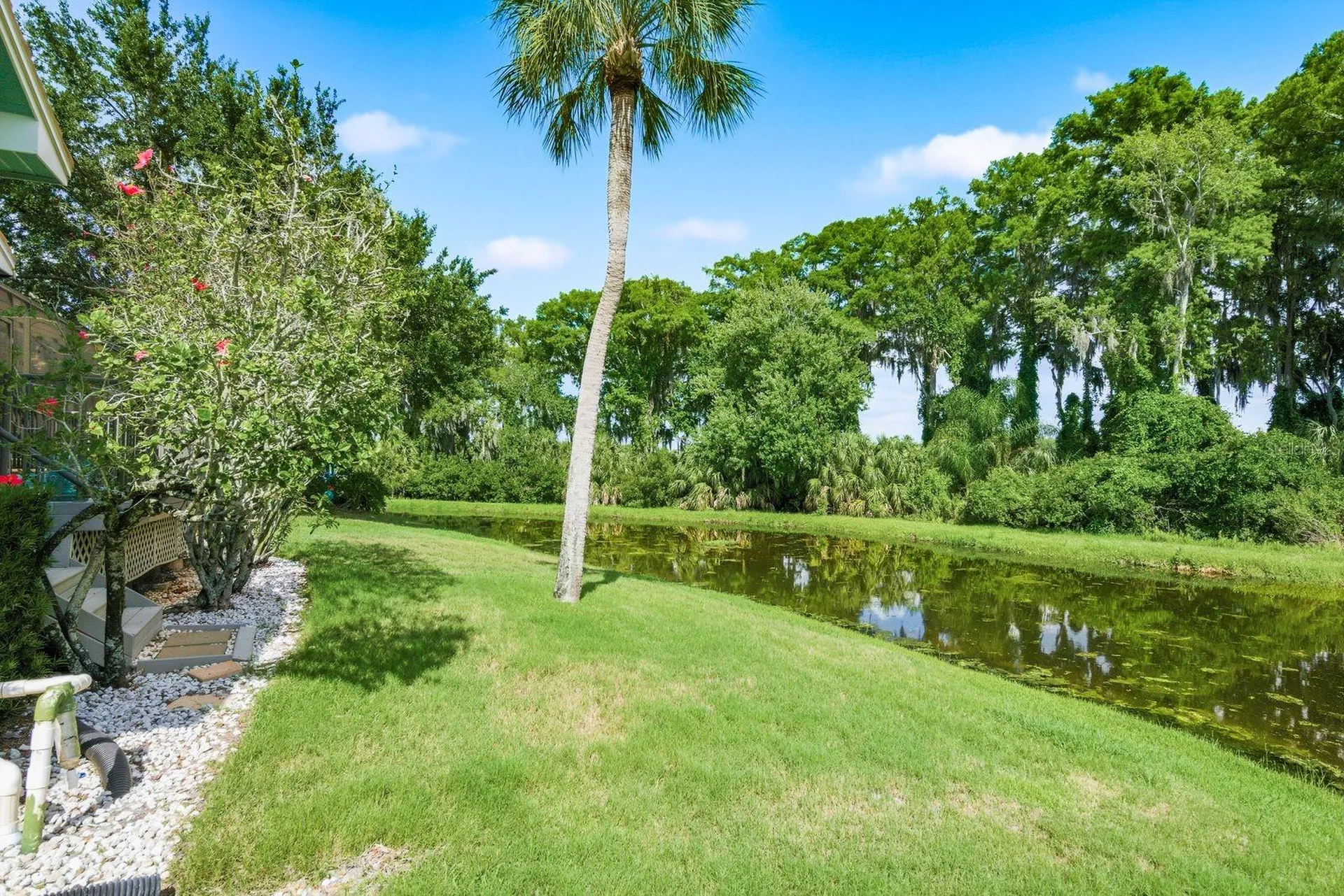 3930 Tarian Court Palm Harbor FL 34684