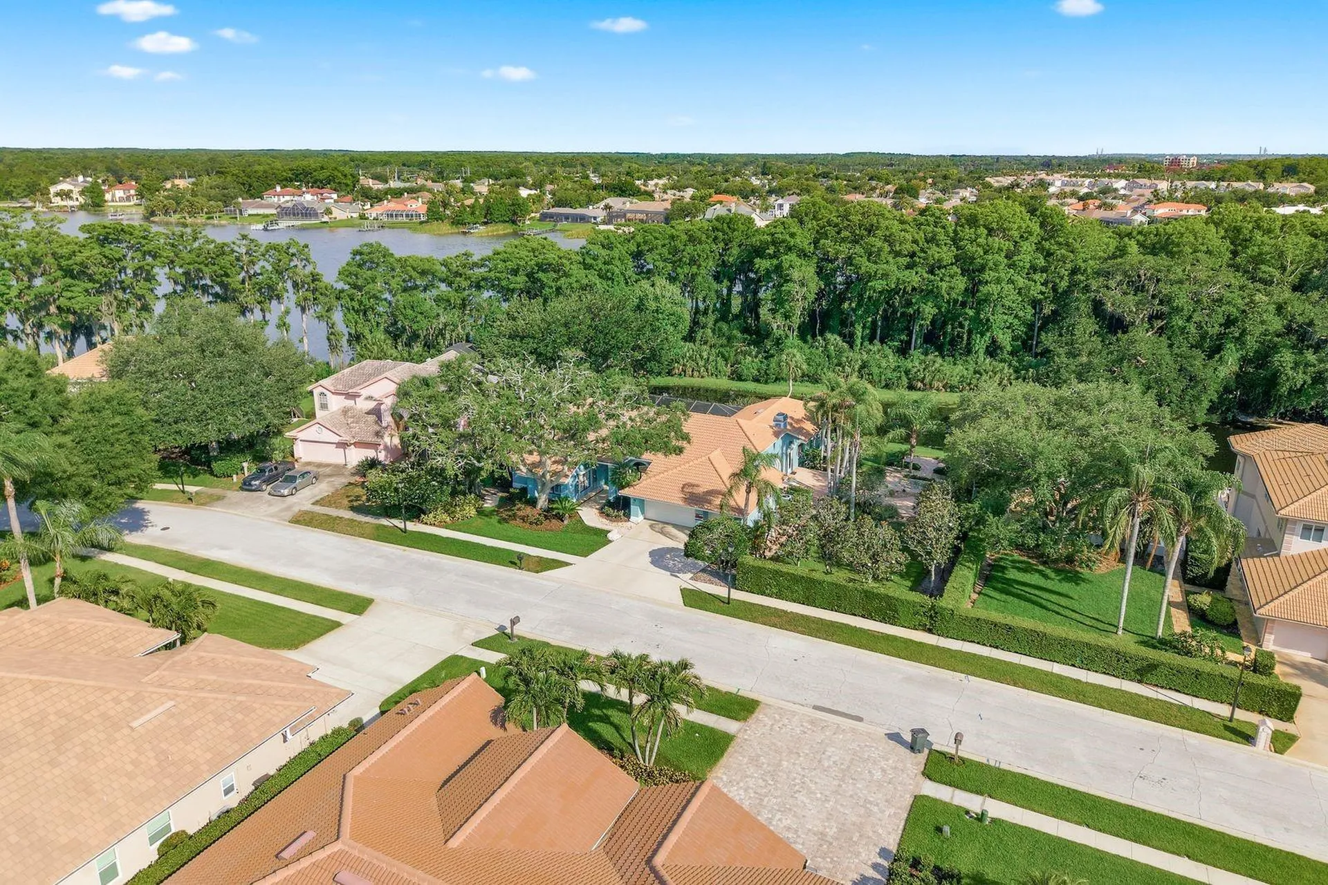3930 Tarian Court Palm Harbor FL 34684