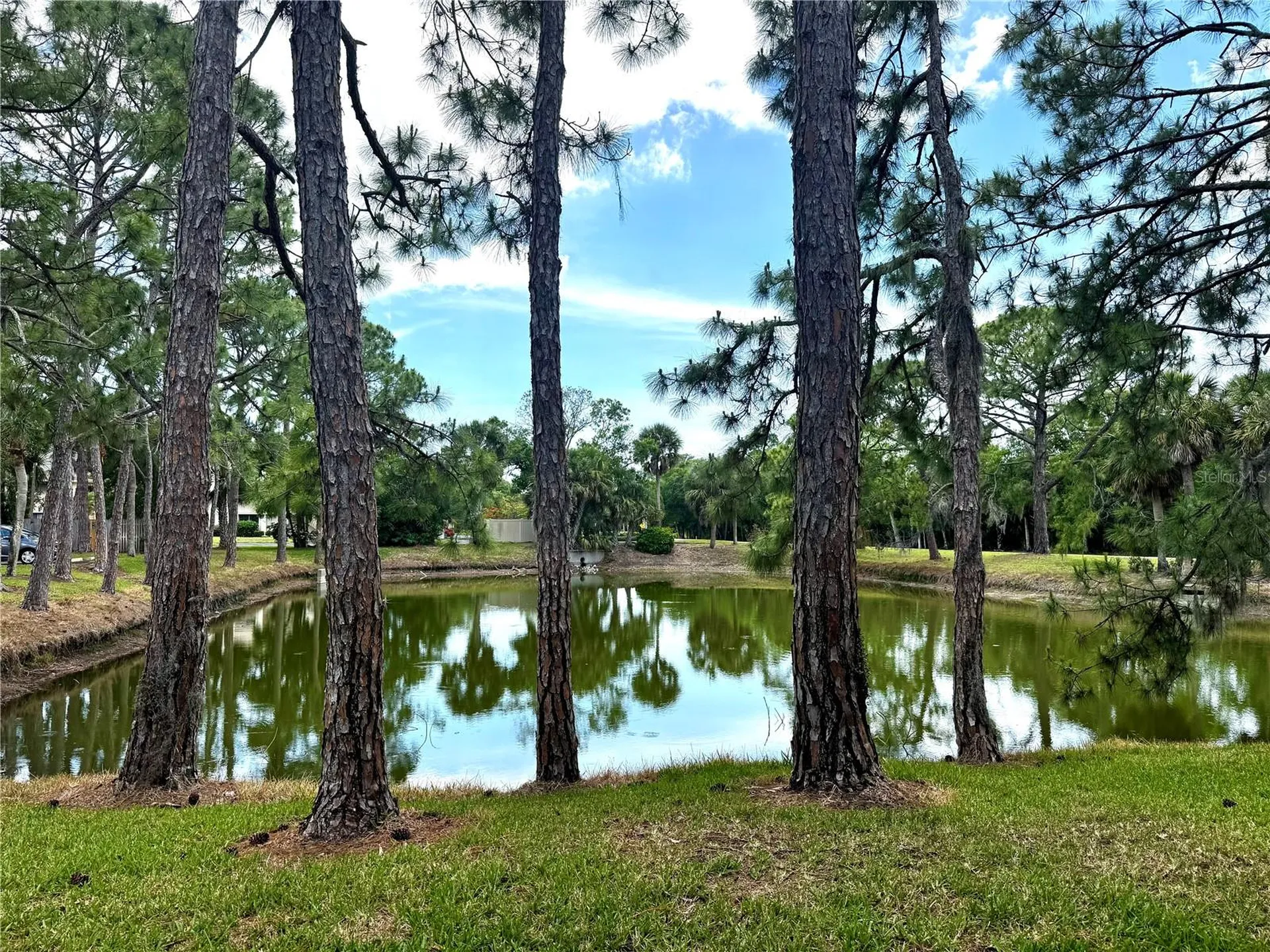 4377 Longmeadow Sarasota FL 34235