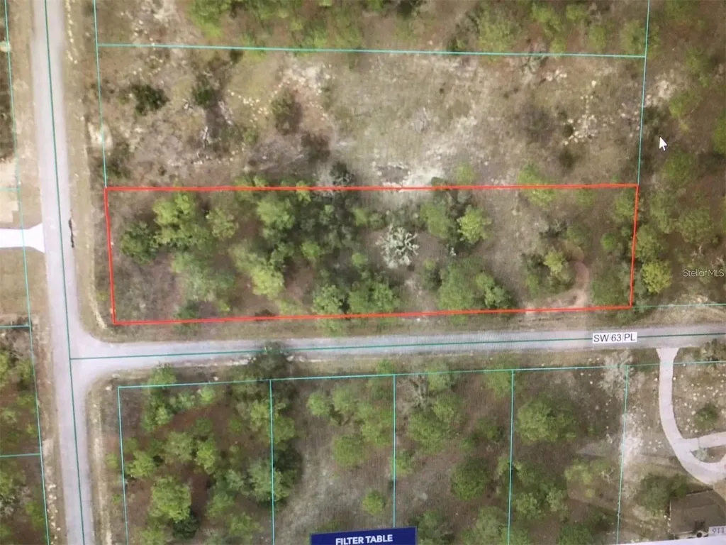 0 SW 209 Avenue Dunnellon FL 34431