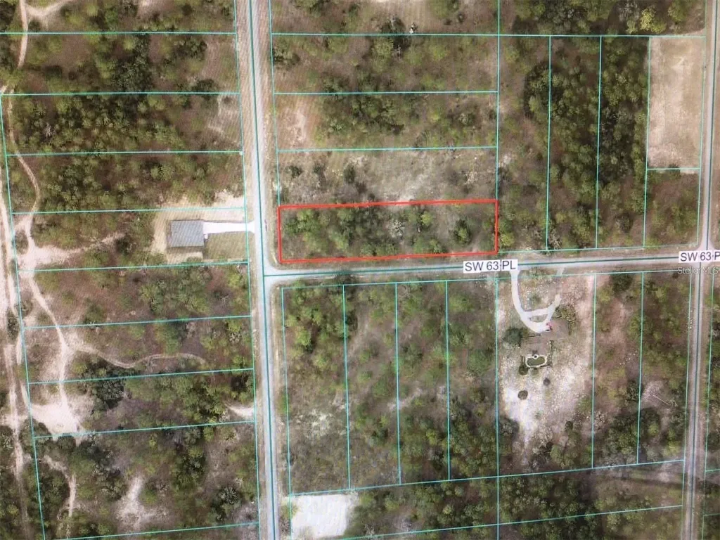 0 SW 209 Avenue Dunnellon FL 34431