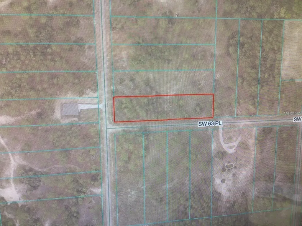 0 SW 209 Avenue Dunnellon FL 34431