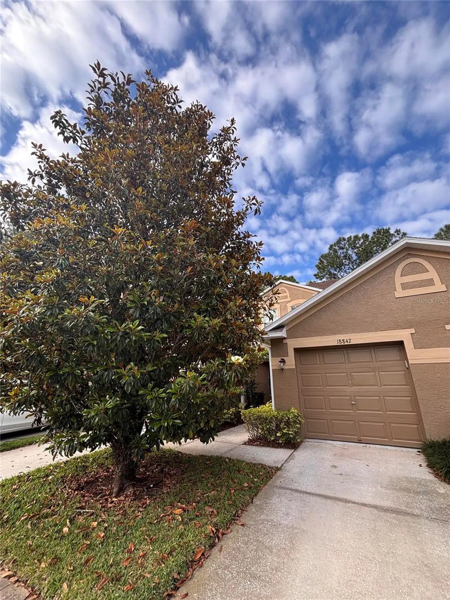 18842 Duquesne Drive Tampa FL 33647