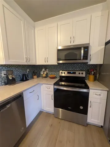 18842 Duquesne Drive Tampa FL 33647