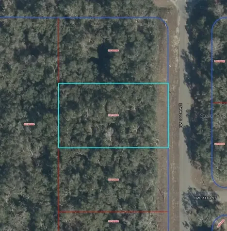 NW 100 Avenue Chiefland FL 32626