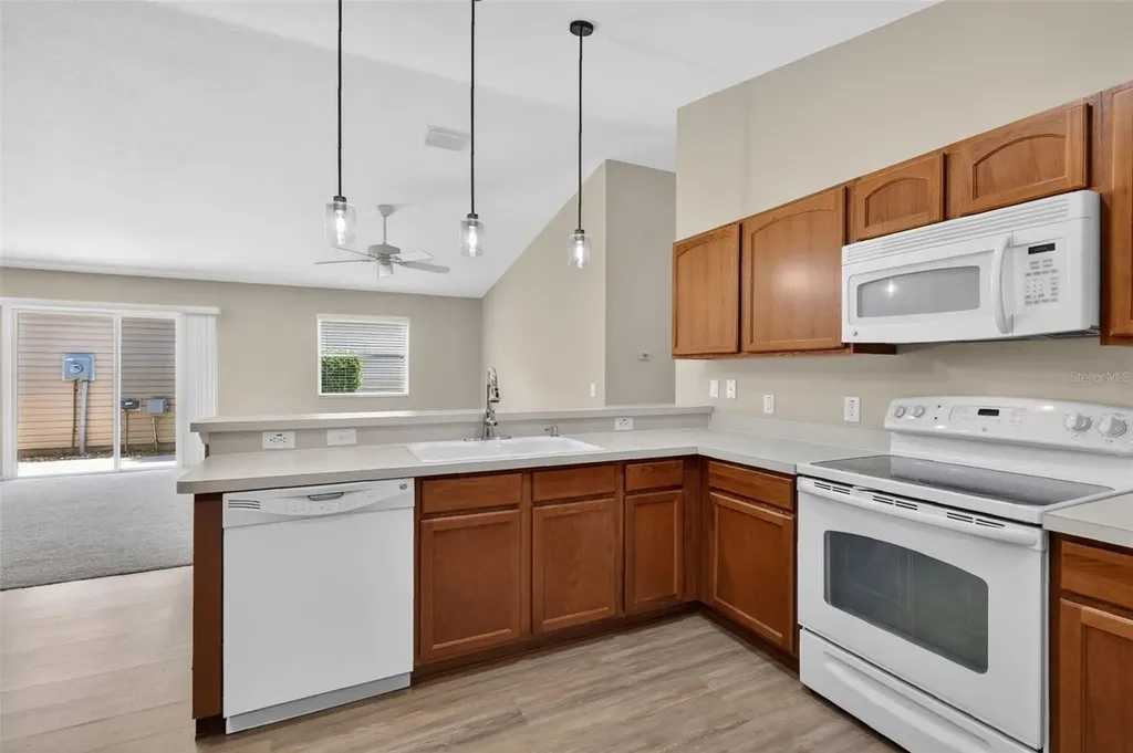 1858 Endsley Court The Villages FL 32162