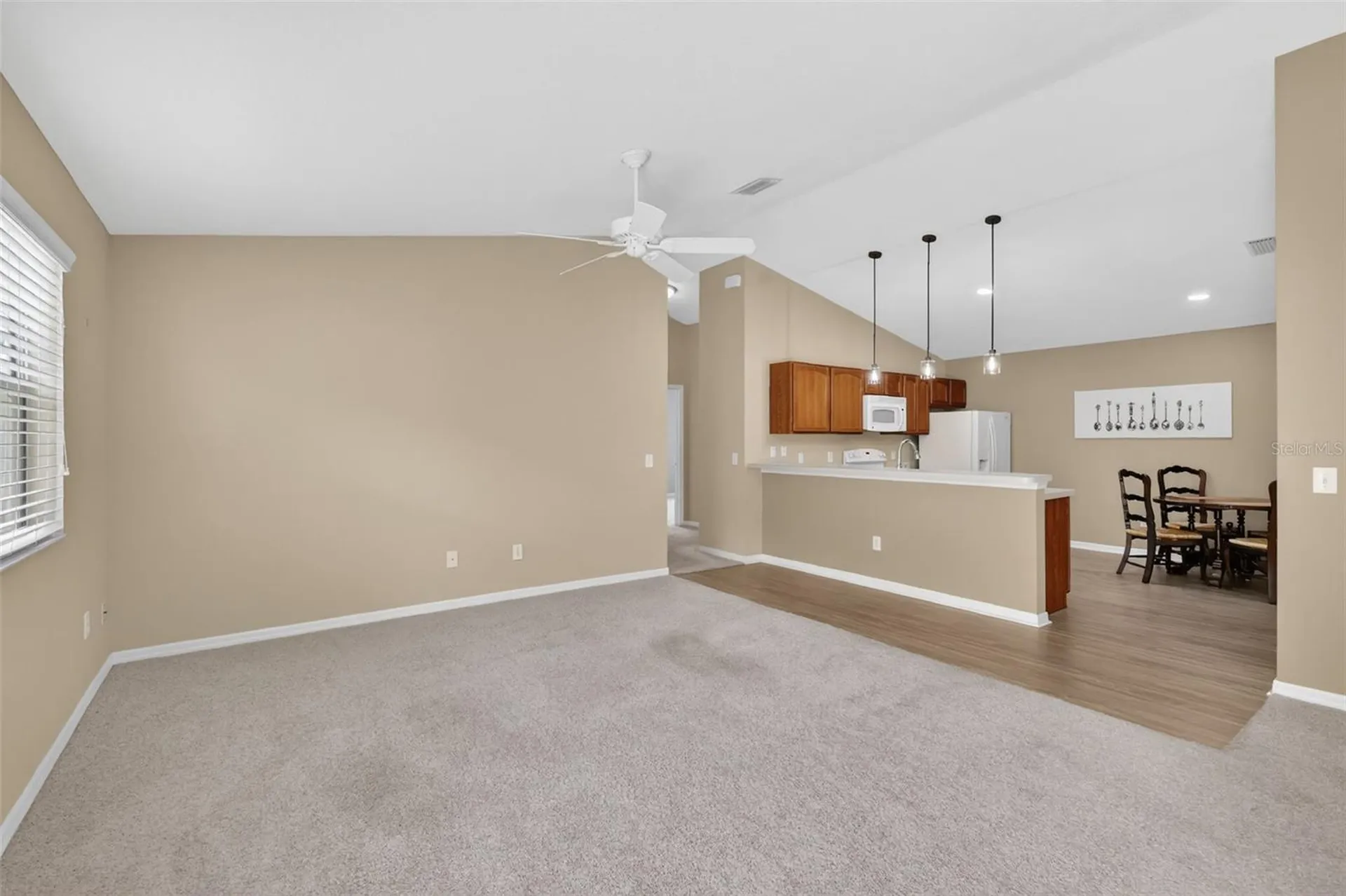 1858 Endsley Court The Villages FL 32162