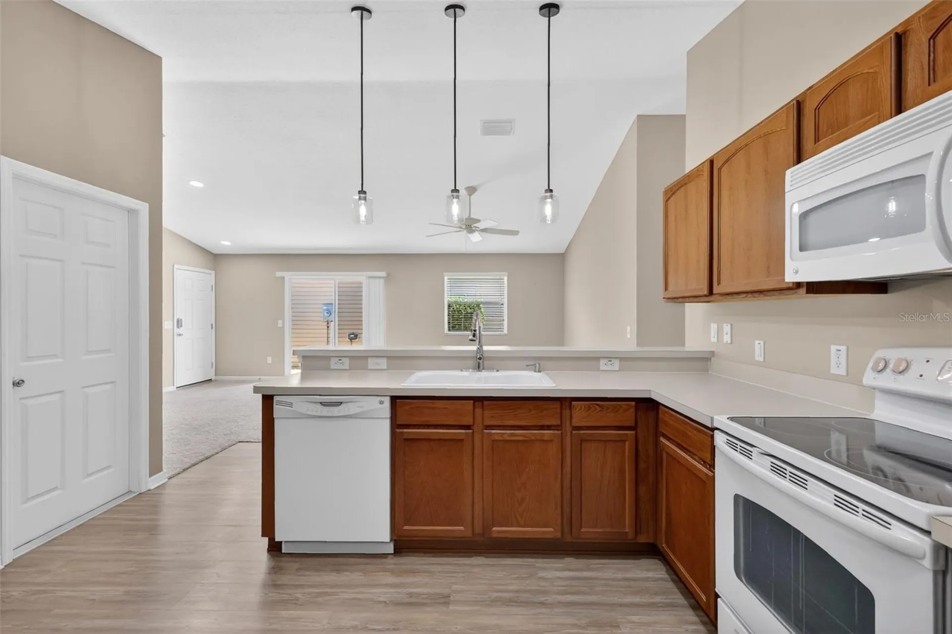 1858 Endsley Court The Villages FL 32162