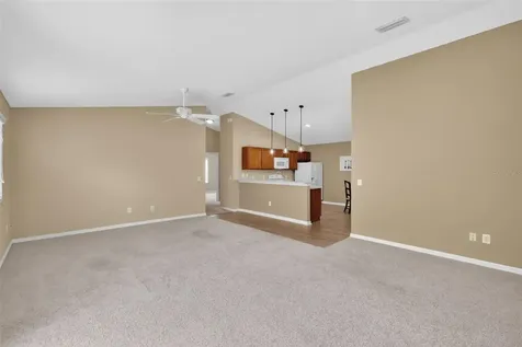 1858 Endsley Court The Villages FL 32162