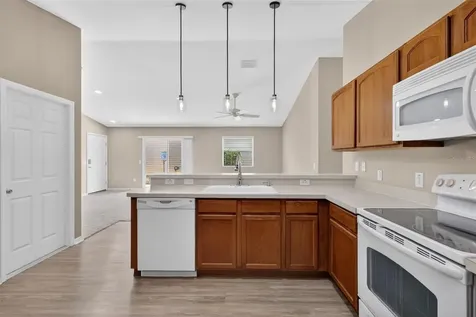 1858 Endsley Court The Villages FL 32162