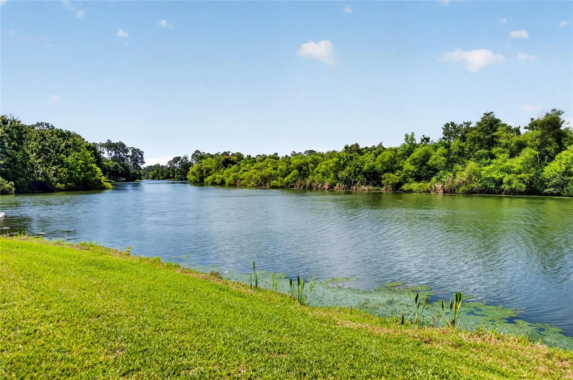 24 Birchwood Place Palm Coast FL 32137