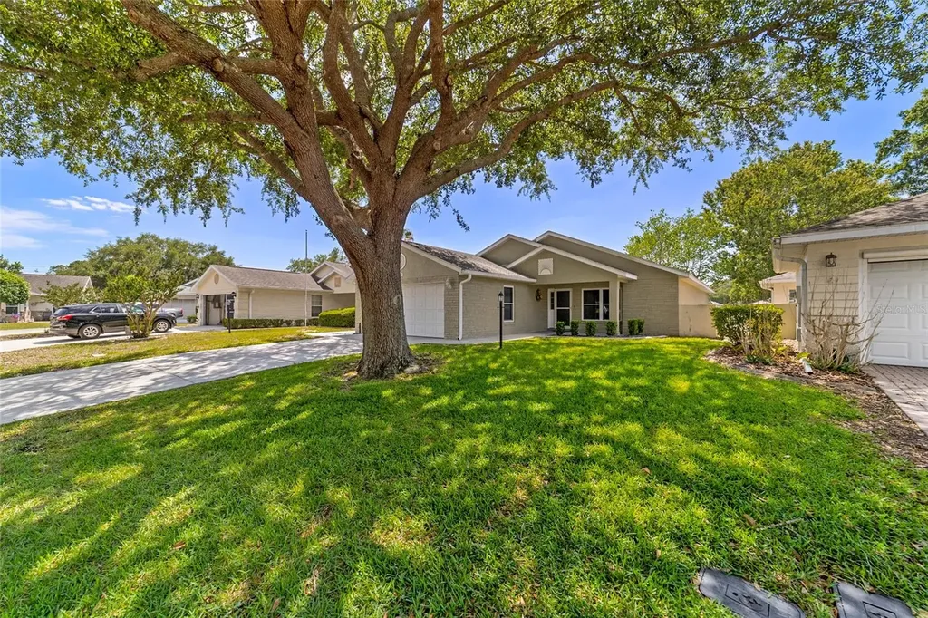 9181 SW 91st Circle Ocala FL 34481