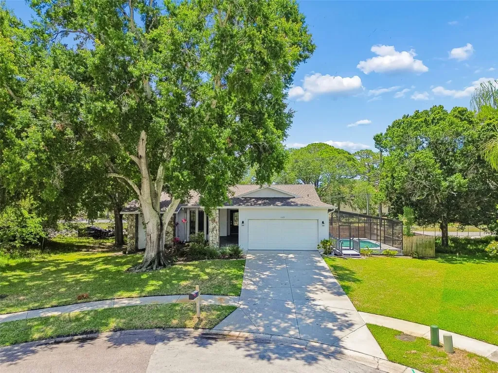 1421 Ironworks Lane Tarpon Springs FL 34689