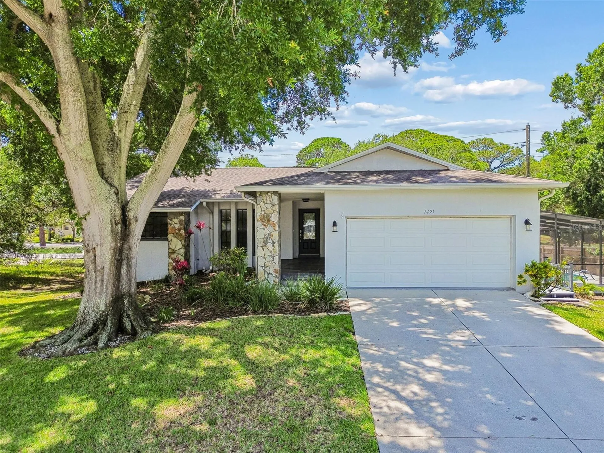 1421 Ironworks Lane Tarpon Springs FL 34689