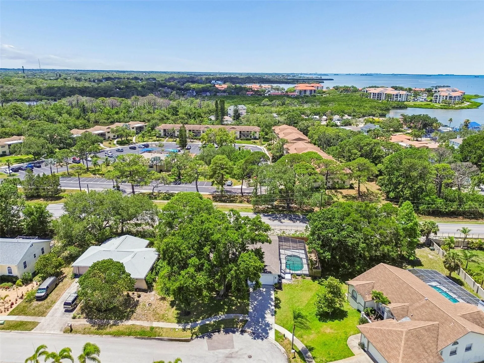 1421 Ironworks Lane Tarpon Springs FL 34689