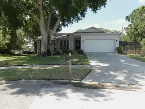 1421 Ironworks Lane Tarpon Springs FL 34689
