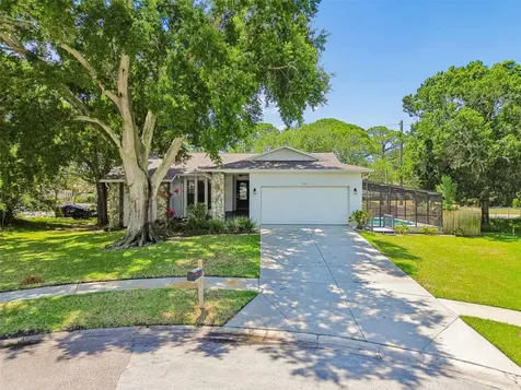 1421 Ironworks Lane Tarpon Springs FL 34689