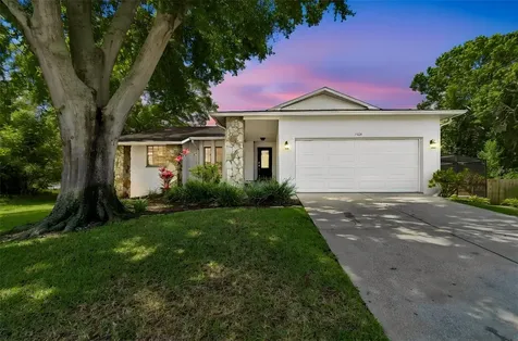 1421 Ironworks Lane Tarpon Springs FL 34689