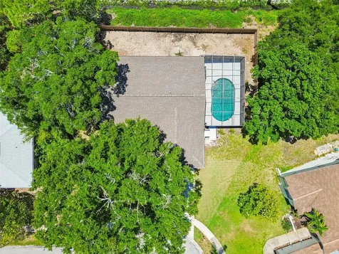 1421 Ironworks Lane Tarpon Springs FL 34689