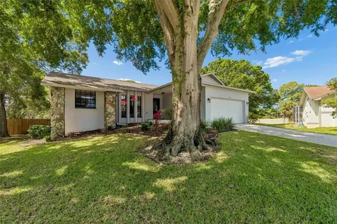 1421 Ironworks Lane Tarpon Springs FL 34689