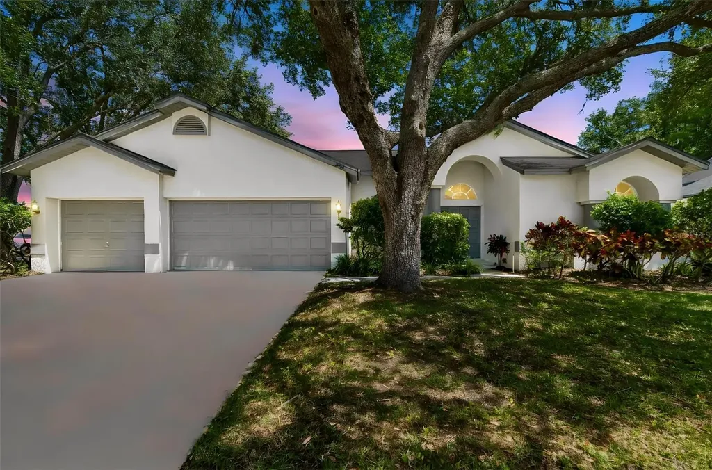 5488 Oakridge Drive Palm Harbor FL 34685
