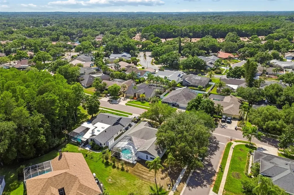 5488 Oakridge Drive Palm Harbor FL 34685