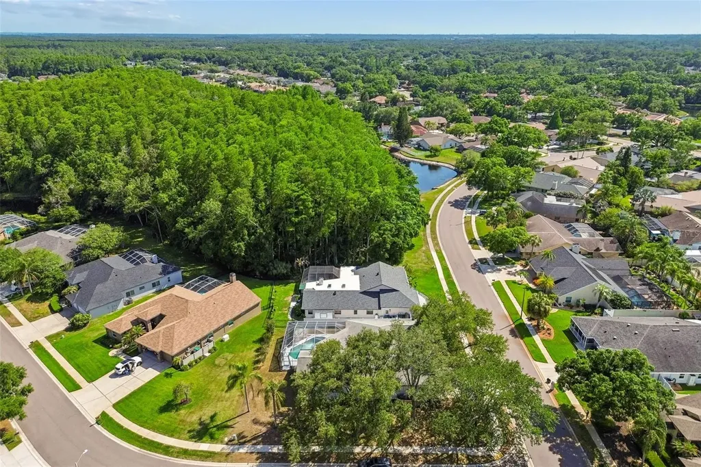 5488 Oakridge Drive Palm Harbor FL 34685