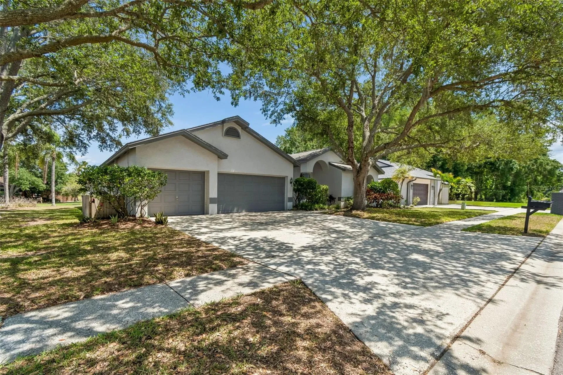 5488 Oakridge Drive Palm Harbor FL 34685