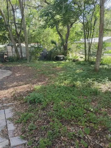 3128 Cr 418 Lake Panasoffkee FL 33538