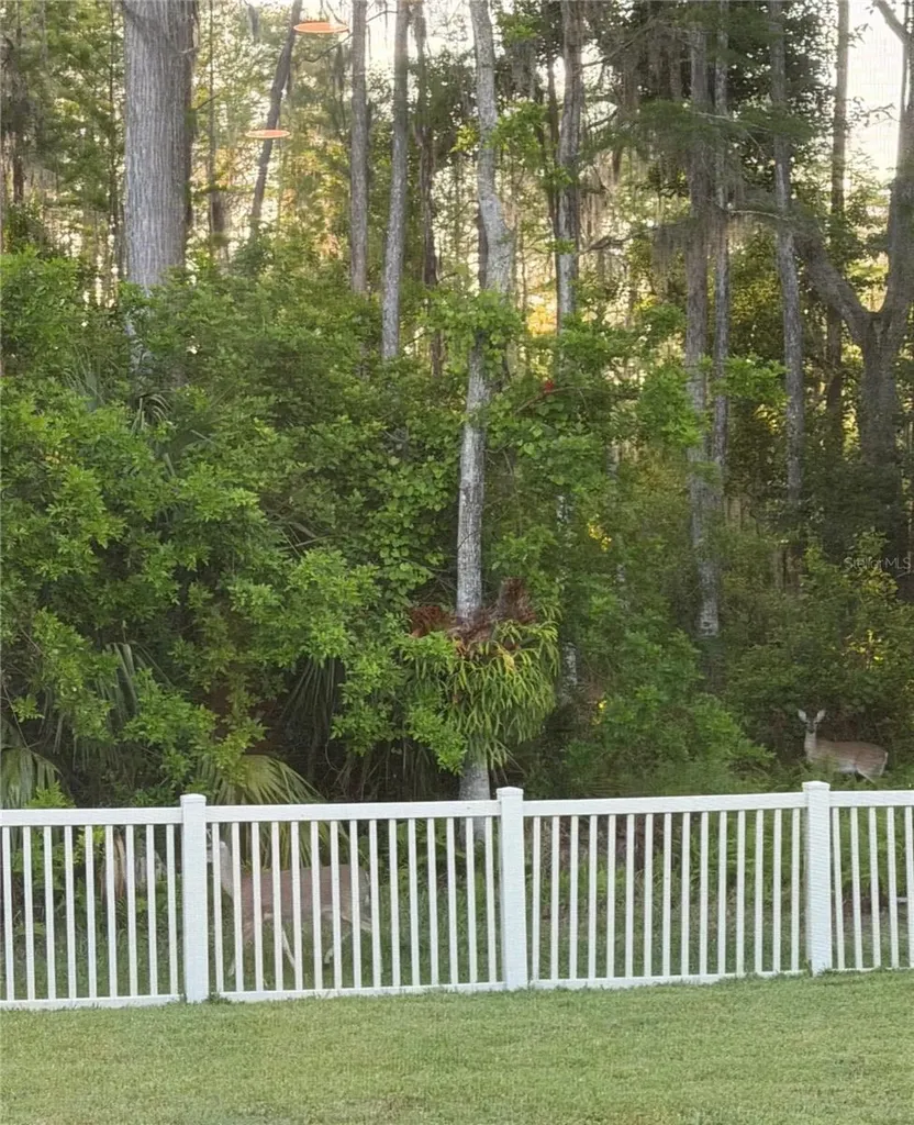 7544 Whispering Wind Drive Land O Lakes FL 34637