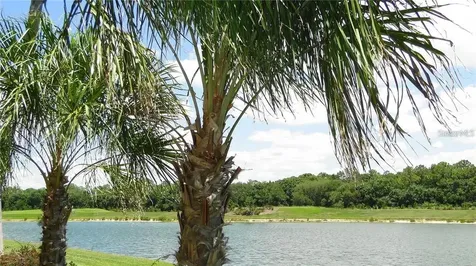 16804 Vardon Terrace Bradenton FL 34211