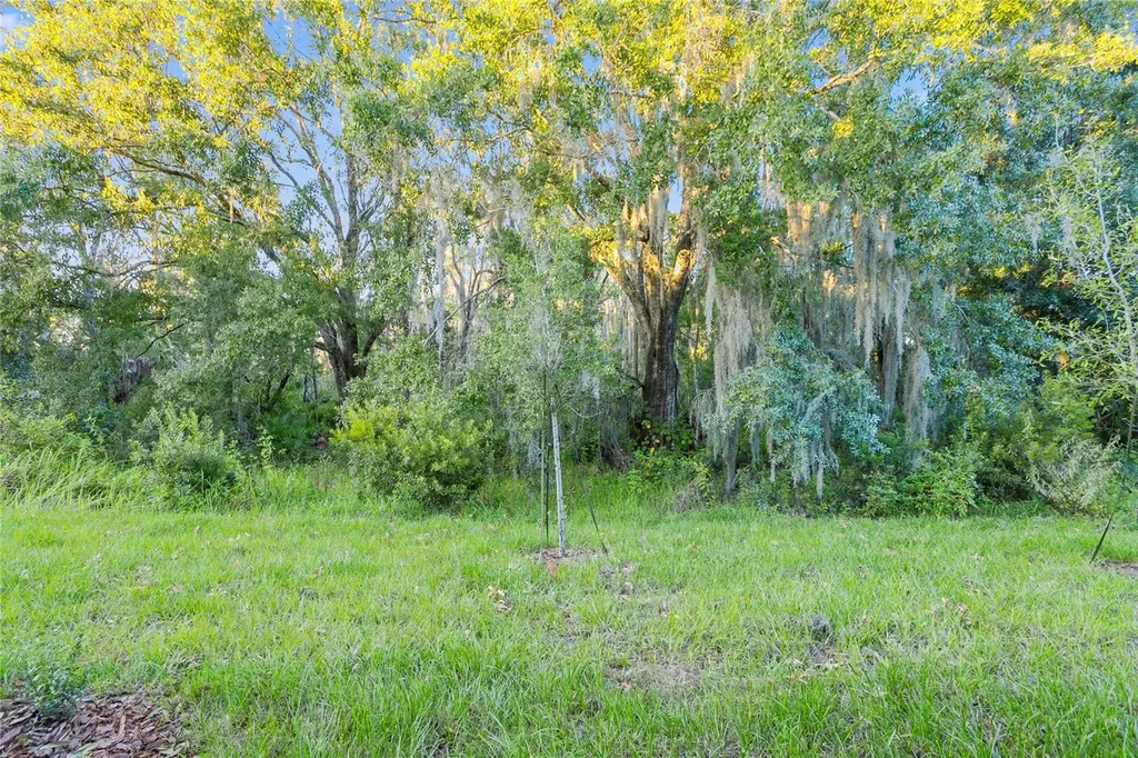 32859 Pez Landing Lane Wesley Chapel FL 33543