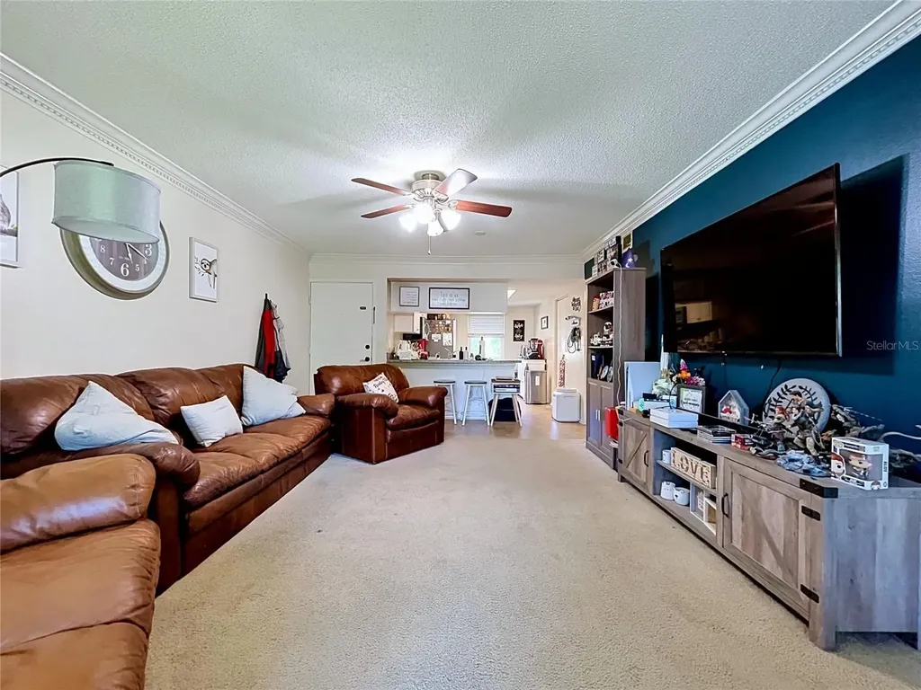 202 Meadow Lane Oldsmar FL 34677