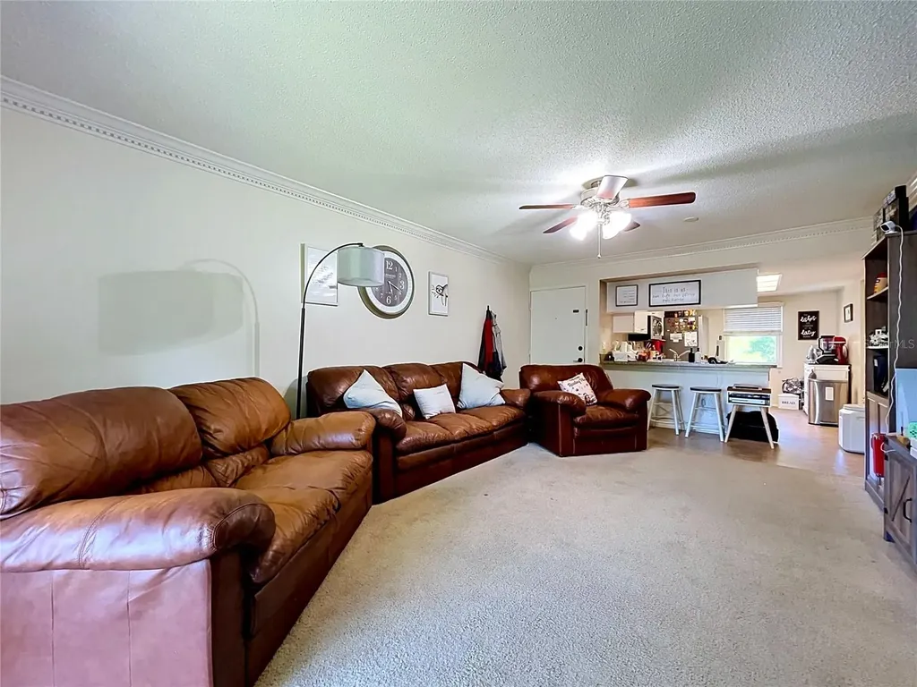 202 Meadow Lane Oldsmar FL 34677