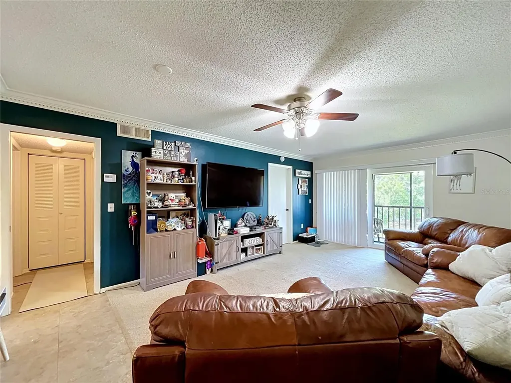 202 Meadow Lane Oldsmar FL 34677