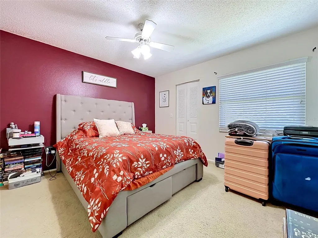 202 Meadow Lane Oldsmar FL 34677