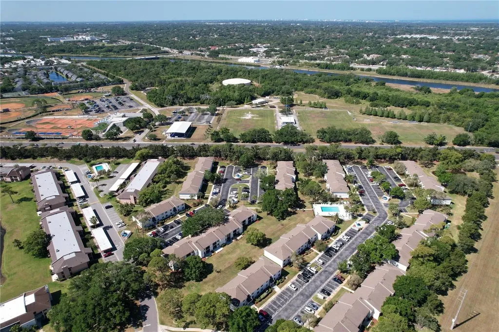 202 Meadow Lane Oldsmar FL 34677