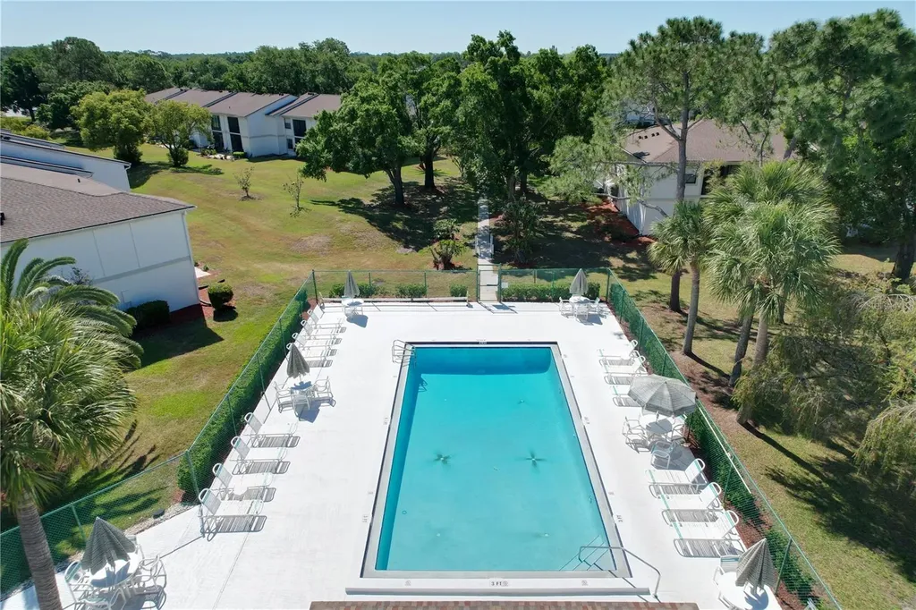 202 Meadow Lane Oldsmar FL 34677